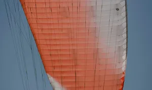 1000100_684129134935554_894512216_n