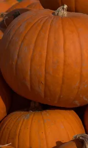 h4