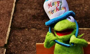 IMAG0839