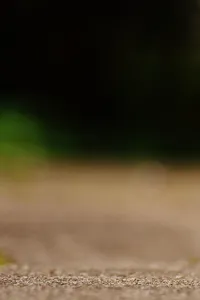 18275044_1545615922129923_7239232323295019659_n