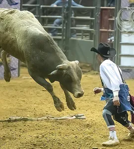P1050278