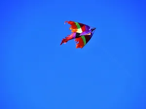 20140517_142802
