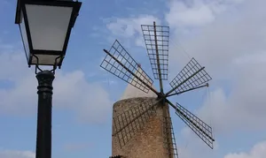imag0682