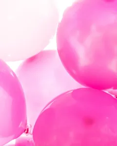 17522971_1877339175887474_4502657793041785010_n