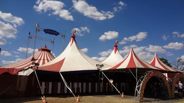 Zdjęcie użytkownika Animki-Piaseczno.pl Eventy dla dzieci.