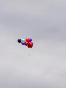 17361948_1865464547074937_1055322428885741127_n