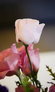 n9
